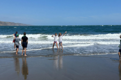 IMG_9516-Copy_00