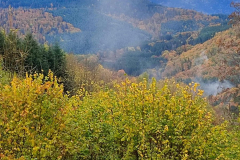 291b22b8-a3c1-485d-b27a-2f51178d7227