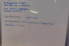 7e8e3435-82b0-400d-ae99-5c71cb20c242