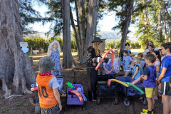 PXL_20251127_191806438