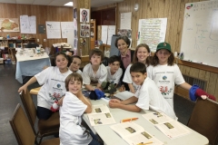2a