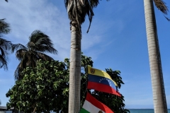 MVIMG_20190803_080411